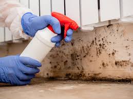 Best Asbestos and Lead Testing During Mold Inspection  in Glasgow, MO